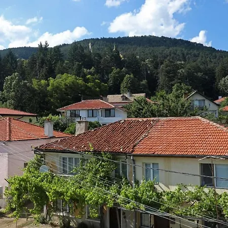 호텔 опълченец 2*