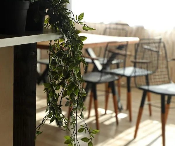 опълченец 2*