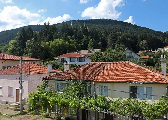 Otel опълченец 2*